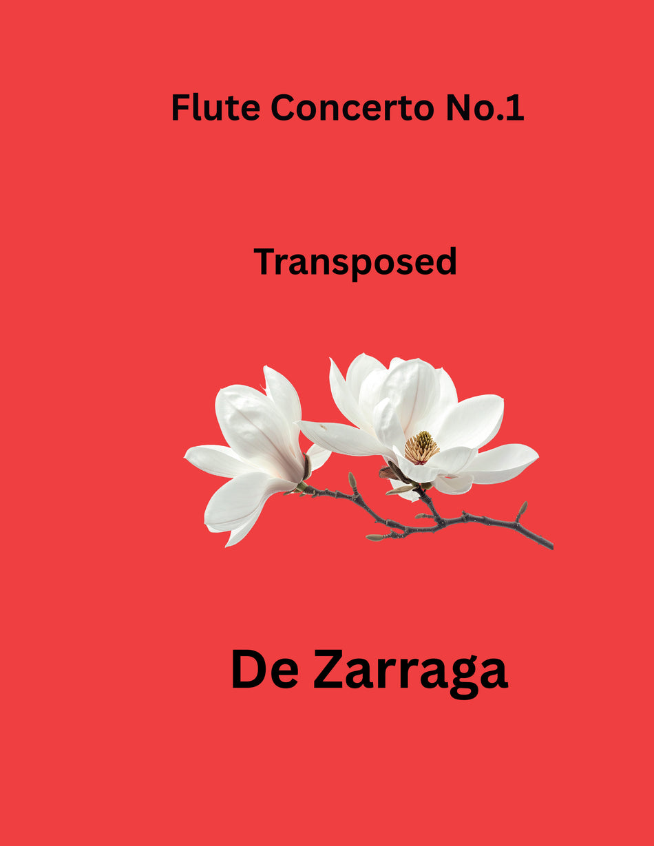 Flute Concerto No.1