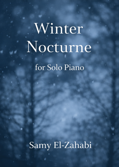 Winter Nocturne